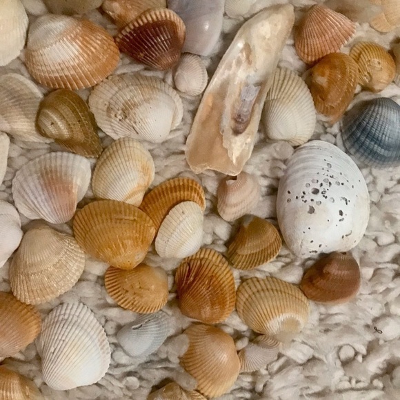 Custom shell bundle — PLEASE READ - Picture 4 of 13